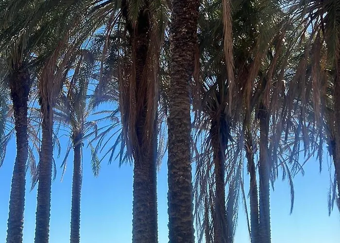 Апартаменты Spiral *